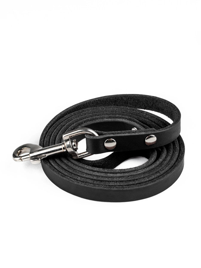 Standard Black Leather Leash