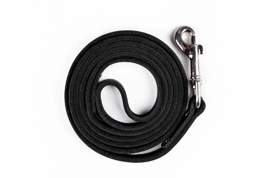 Standard Black Leather Leash