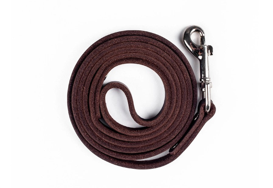 Standard Brown Leather Leash