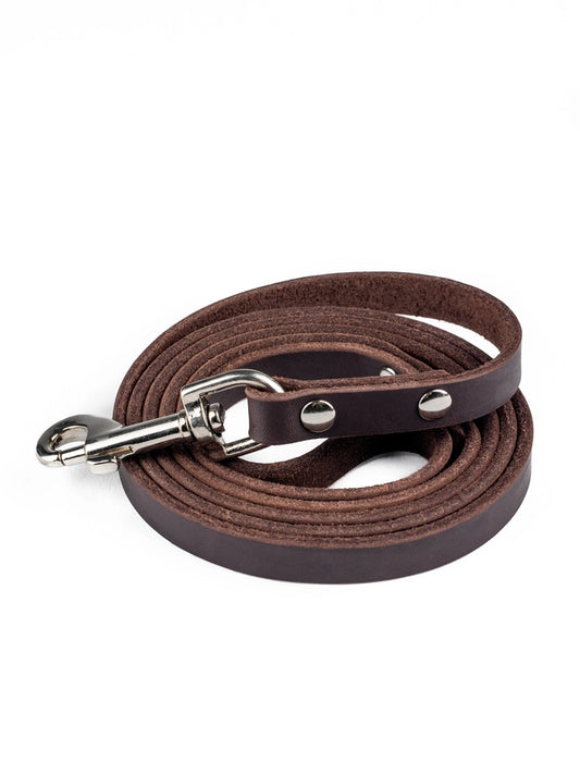 Standard Brown Leather Leash