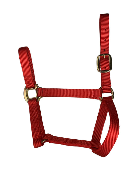 Standard Horse Halter