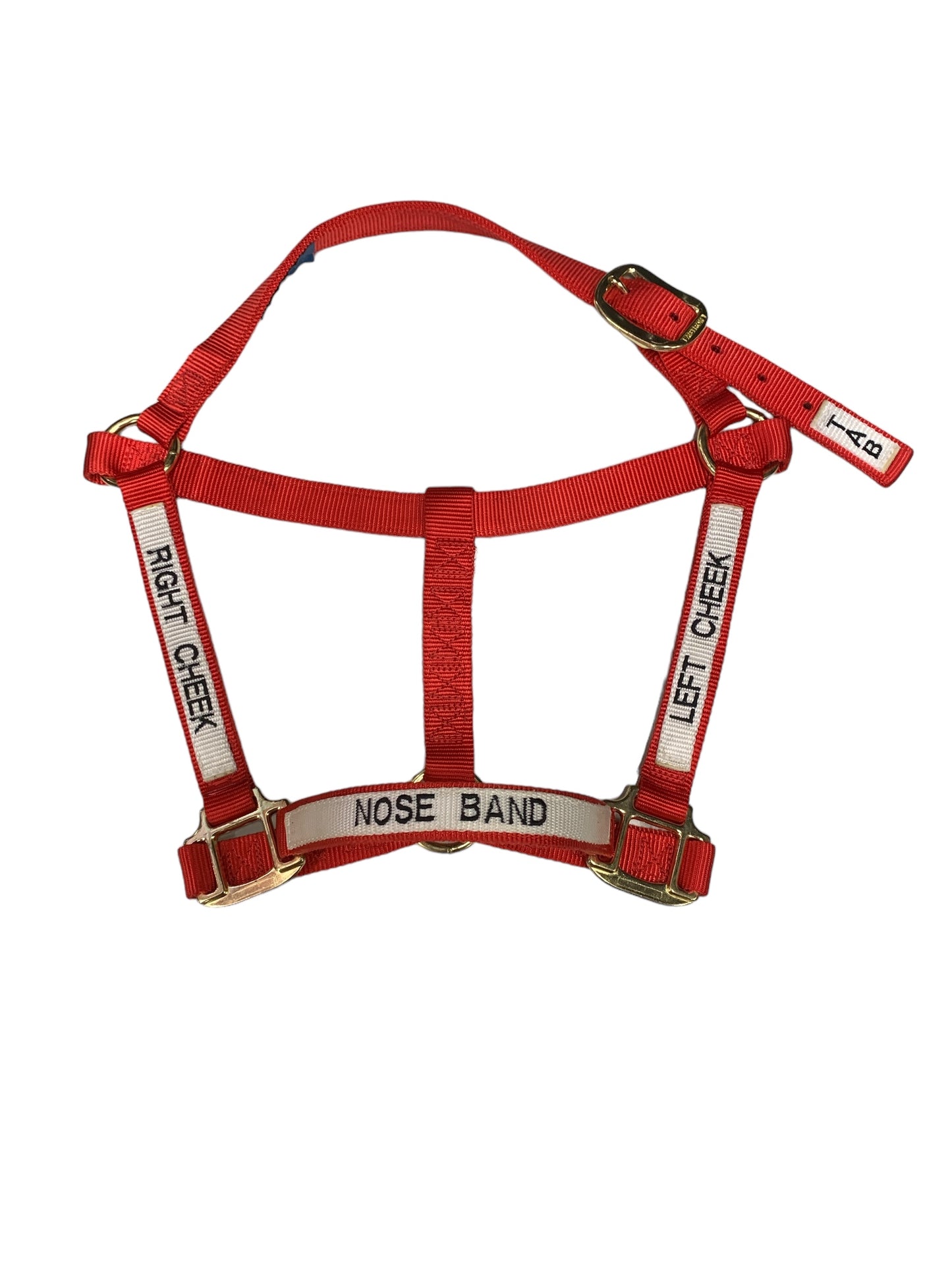 Small Horse Halter