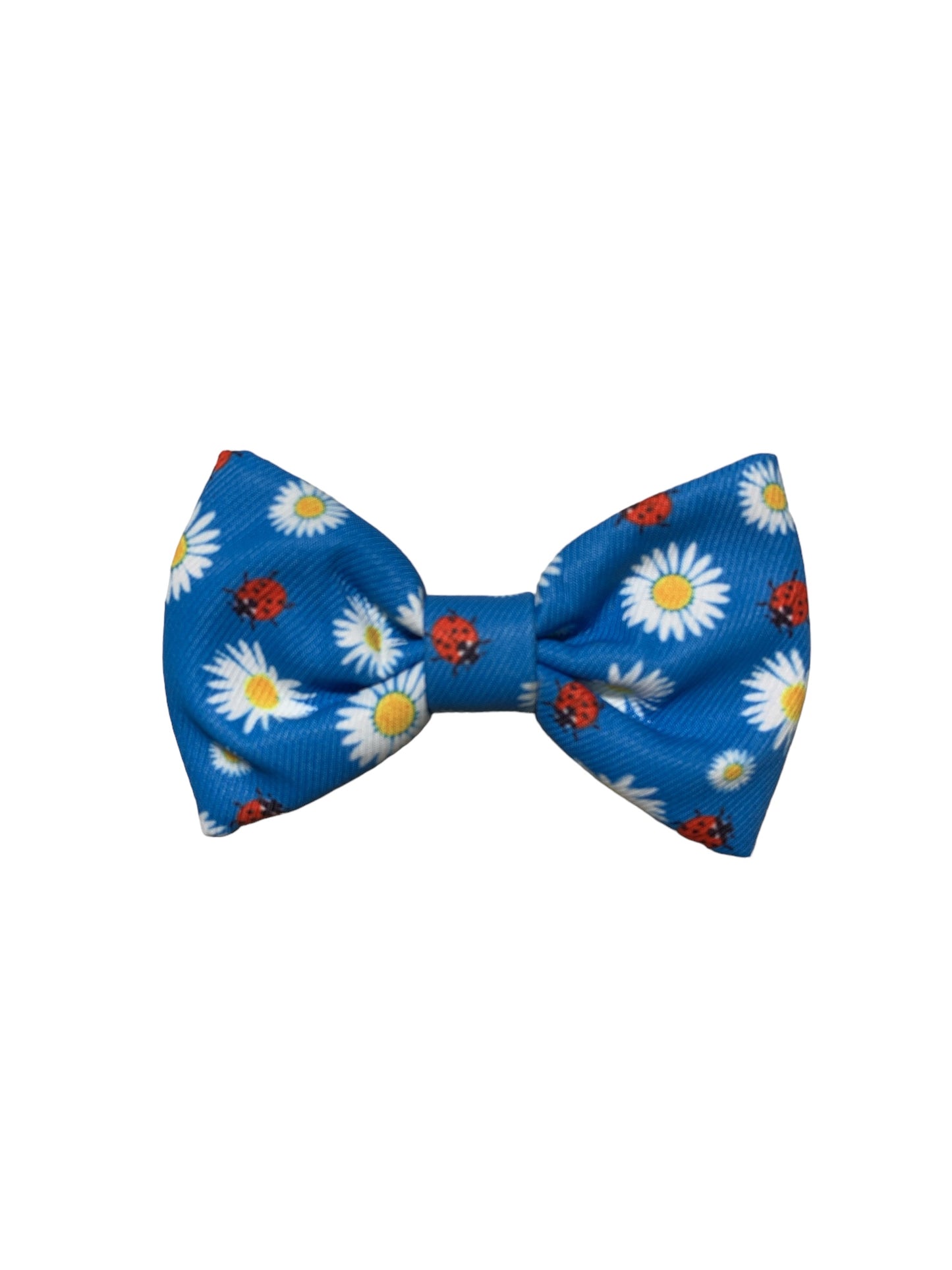 Blue Ladybugs Bowtie