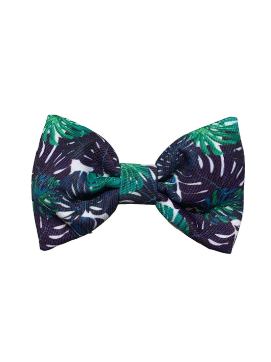 Monstera Bowtie