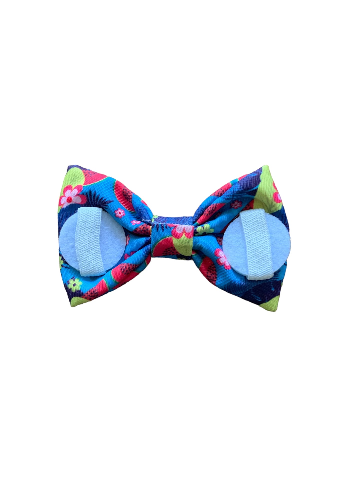 Blue Watermelons Bowtie