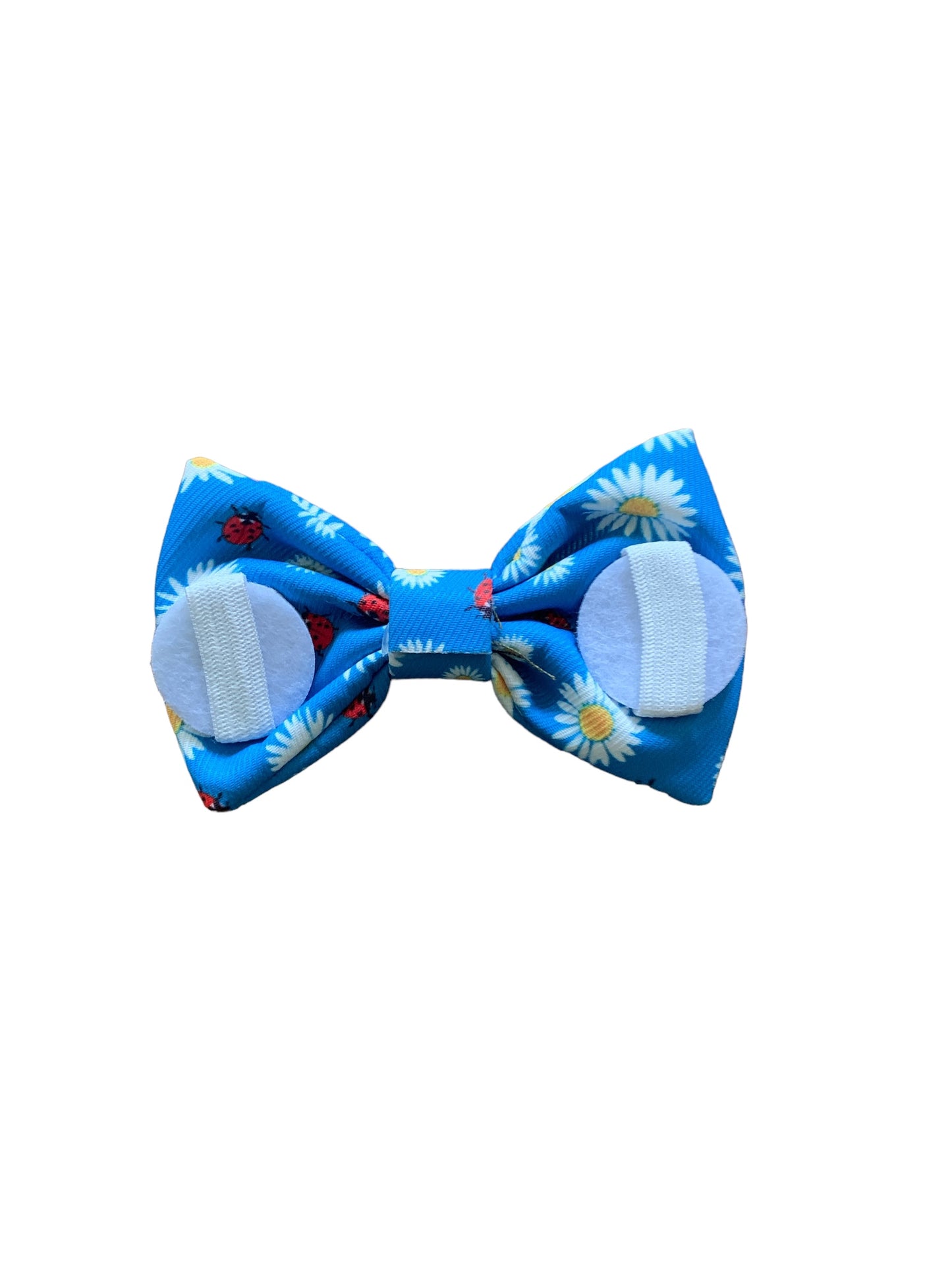 Blue Ladybugs Bowtie