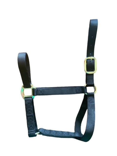 Small Horse Halter