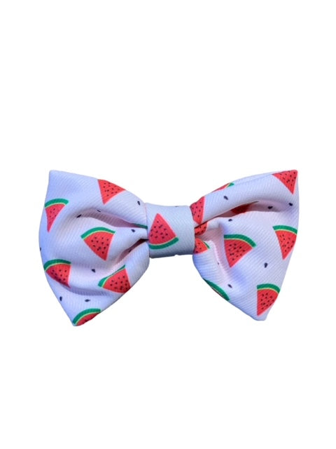 Pink Watermelons Bowtie